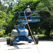 Enlèvement de branches mortes après une tempête.
